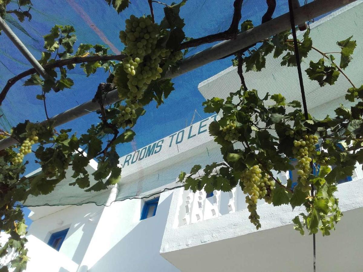 Nikos Apartments Lefkos  Dış mekan fotoğraf